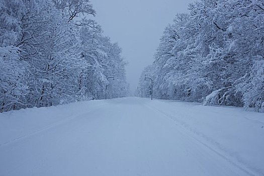 雪路