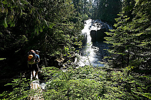 远足者,停止,一个,许多,瀑布,顶峰,徒步旅行,公园,中心,温哥华岛,不列颠哥伦比亚省,加拿大