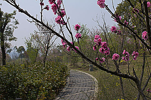 苏州太湖湿地公园