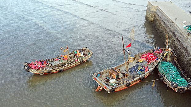 山东省日照市,清晨的渔码头热闹非凡,渔民忙着海上春播期盼丰收