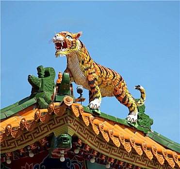 虎,雕塑,中国寺庙,屋顶