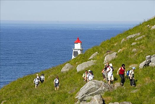 远足者,陡峭,山坡,小路,上面,灯塔,背影,罗弗敦群岛,挪威