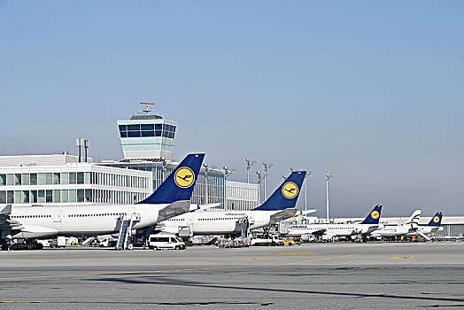 飞机,航空公司,汉莎航空公司,爱琴海,航站楼,围裙,东方,卫星,慕尼黑,机场,上巴伐利亚,德国,欧洲