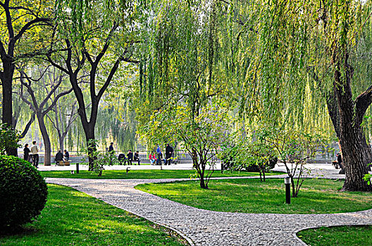 小路,树,公园,人,坐,长椅,水边,北京,中国
