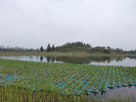 西安鹤鸣湖公园