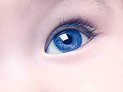 特写,蓝眼睛,老,男婴,数码