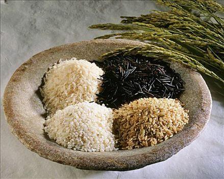 四个,不同,碗,穗,稻米