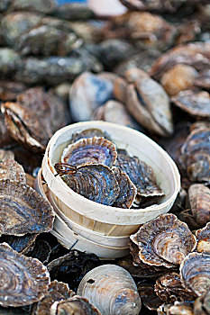牡蛎,出售,博罗市场,伦敦,英格兰