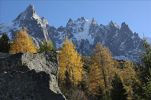 秋天,阿尔卑斯山,顶峰,夏蒙尼,法国