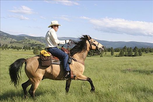 牛仔,骑马,蒙大拿,美国