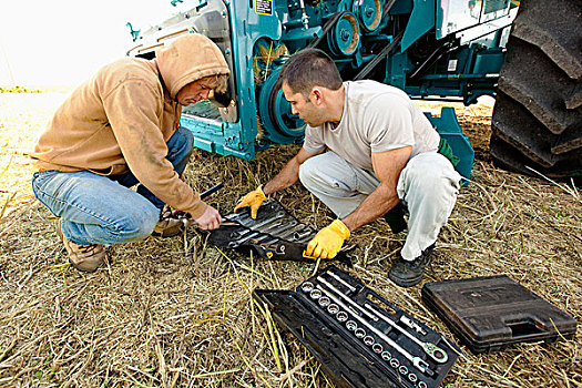 男人,工具,修理,农机具,三个,山,艾伯塔省,加拿大