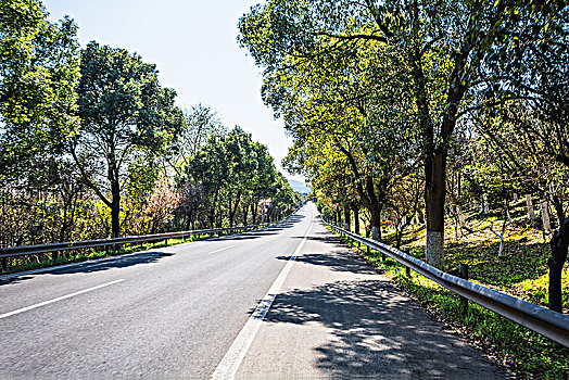 道路,阿尔卑斯山