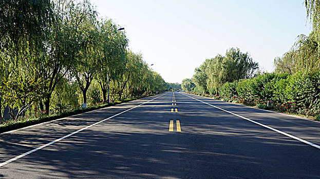 驰骋在未来的道路上之一