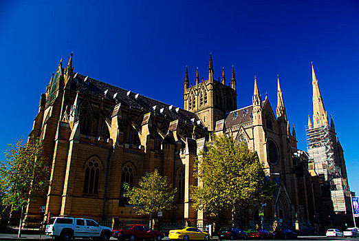悉尼-圣玛丽大教堂