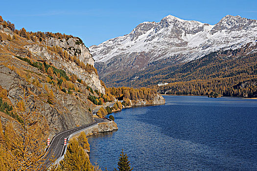 道路,湖,秋天,圣莫里茨,地区,恩加丁,瑞士