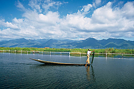 侧面,一个,男人,捕鱼,湖,茵莱湖,缅甸