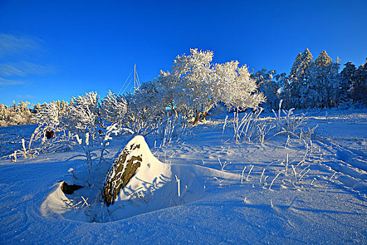 雪岭雪凇冬季美