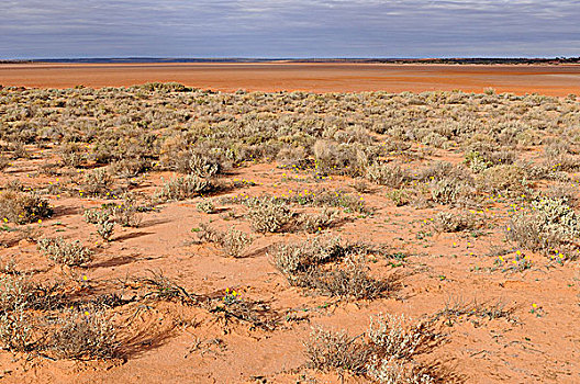 干燥,湖,澳洲南部,澳大利亚
