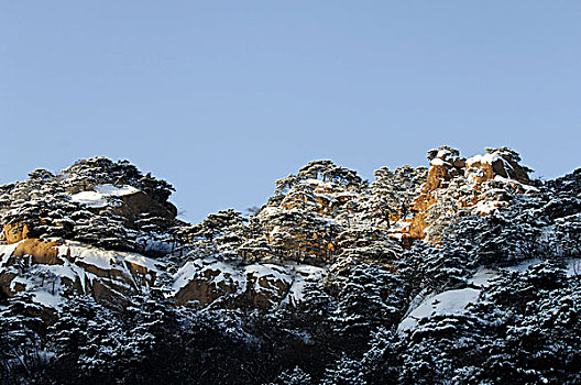 圣地冬景