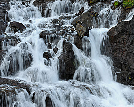 瀑布,韦斯特兰德,冰岛
