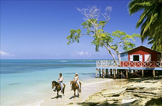 多米尼加共和国,海滩,伴侣,马,房子