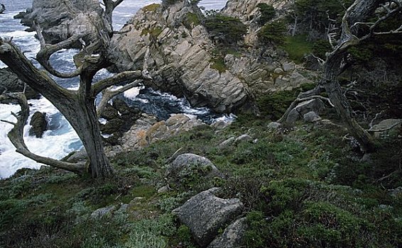 岩石构造,海岸,罗伯士角州立保护区,加利福尼亚,美国