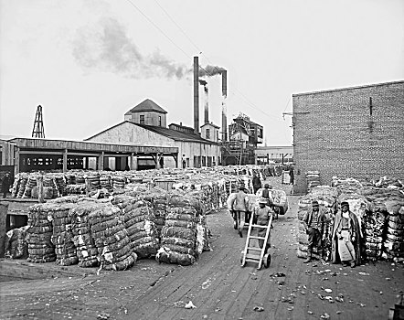 大捆,棉花,码头,诺福克,弗吉尼亚,美国,底特律,农业,产业,运输,历史