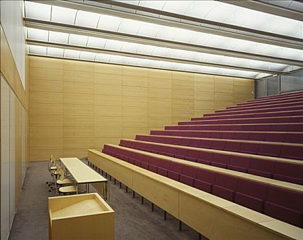 法律,剑桥大学,阶梯教室,紫色,座椅