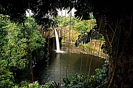 美国,夏威夷大岛,彩虹瀑布,河,州立公园
