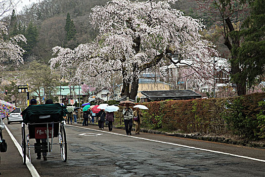 秋田市角馆町