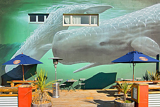 鲸,壁画,新西兰