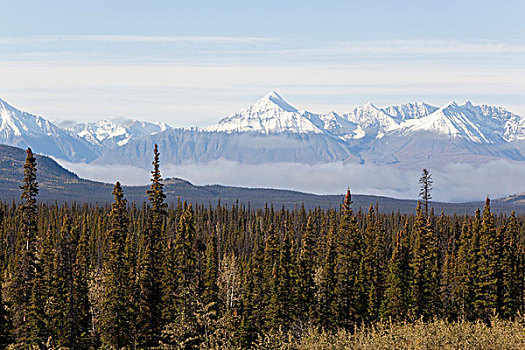 北方针叶林,山峦,克卢恩国家公园,自然保护区,阿拉斯加公路,育空地区,加拿大