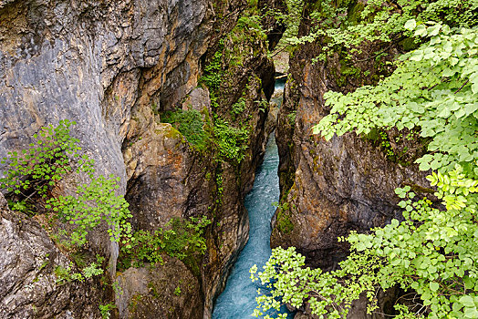 峡谷,国家公园,阿尔巴尼亚,阿尔卑斯山,欧洲