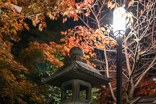 日本京都著名景点八坂神社秋季园林景观,夜晚的路灯和石灯笼