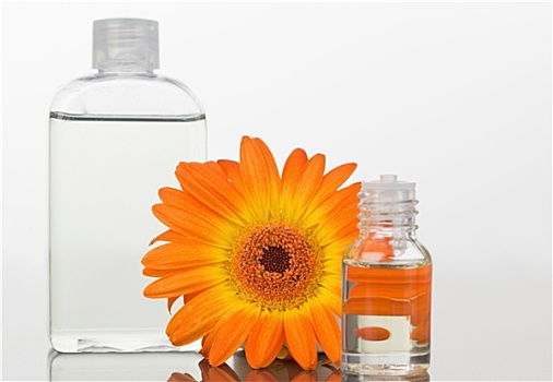 玻璃,小玻璃瓶,橙色,大丁草,长颈瓶