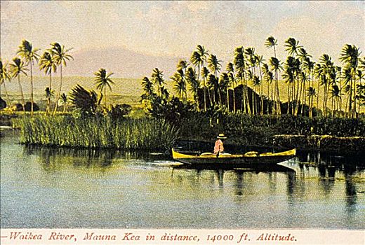 明信片,夏威夷,夏威夷大岛,河,男人,独木舟