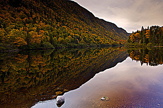 卡地亚,河,山谷,围绕,秋色,魁北克,加拿大
