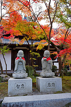 日本京都永观堂
