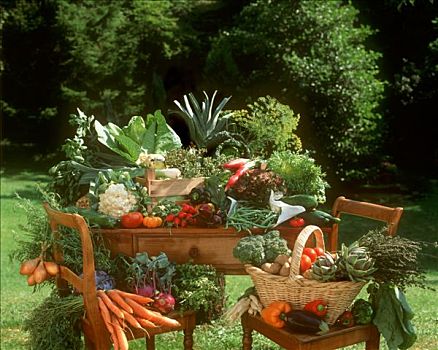 蔬菜静物,桌上,椅子,花园