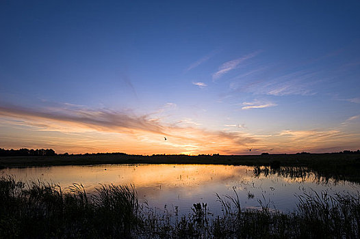 夕阳湖,靠近,波兰