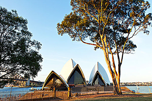 风景,悉尼歌剧院,皇家植物园