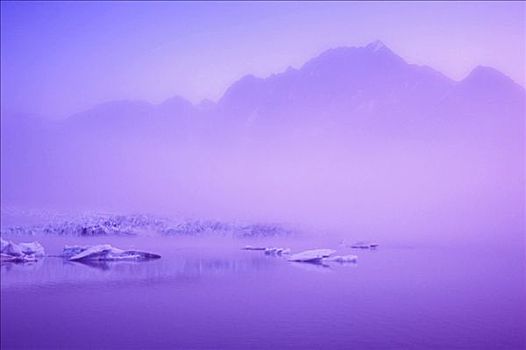 冰河,雾,基奈,峡湾,国家公园