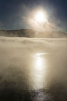 雾,日出,上方,育空河,靠近,怀特霍斯,育空地区,加拿大
