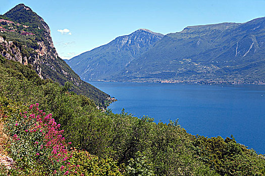 陡峭,悬崖,西部,岸边,湖,加尔达,省,布雷西亚,伦巴第,区域,意大利,欧洲