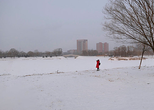 北京的冬季美景