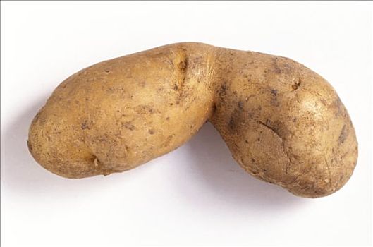 土豆,品种