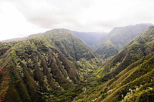 绿色,峡谷,夏威夷,美国