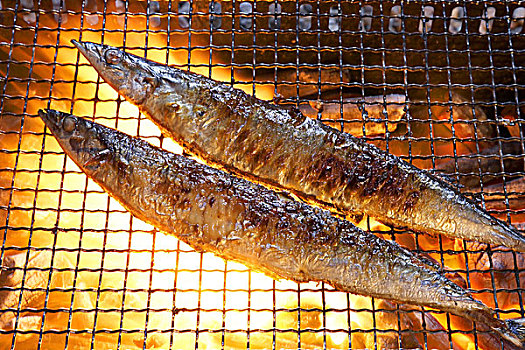 saury