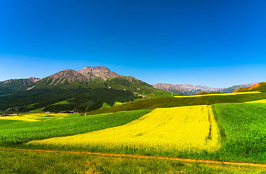 青海省祁连县卓尔山景区牛心山自然风光