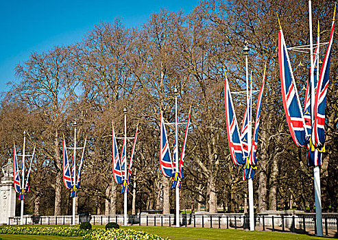 英国,英格兰,英国国旗,正面,白金汉宫,伦敦